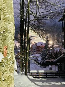 Studio Mirage@Snow Residence (ski & forest) v zime