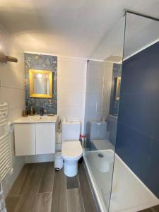 a bathroom with a toilet and a sink and a shower at Appartement La maison du pêcheur in Sainte-Maxime