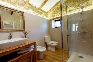 uma casa de banho com um lavatório, um WC e um chuveiro em El Molino de Bonaco em San Vicente de la Barquera