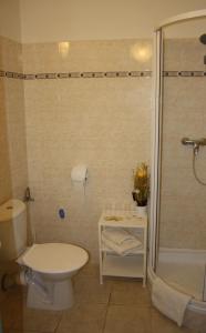 a bathroom with a shower and a toilet and a sink at Hotel Koruna in Roudnice nad Labem