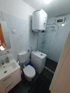 Phòng tắm tại Apartments Vila Dana