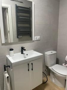 uma casa de banho com um WC, um lavatório e um espelho. em Estudio TAU em Jerez de los Caballeros
