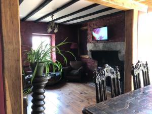 a living room with a fireplace and a tv at La Calécherie, St. Martin de Montbray in Montbray