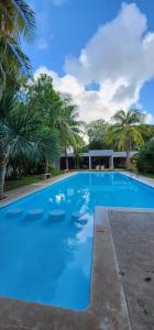 Hermosa Casa en Jardines Cancún في كانكون: مسبح ازرق كبير مع نخل في الخلف