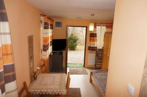 a living room with a couch and a television at Apartamenty Dzika Orlica in Zieleniec