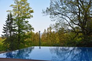 una piscina di acqua con alberi sullo sfondo di APARTAMENT B13 GREEN PARK RESORT a Szklarska Poręba