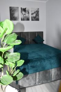 una camera con un letto verde e una pianta di APARTAMENT B13 GREEN PARK RESORT a Szklarska Poręba Altre 38 foto