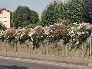 a fence with pink and white flowers on it at B&B La Casa del Barbiere in Albareto