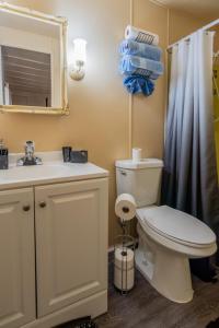 a bathroom with a toilet and a sink and a shower at Nature Lover's Paradise. in Zephyrhills