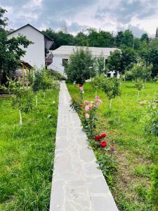 Zahrada ubytování Spitak Tun