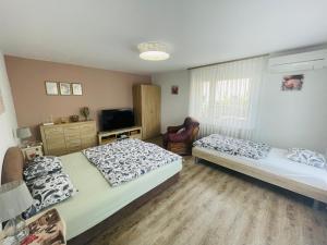 a bedroom with two beds and a tv in it at Apartment Armic in Ljubljana