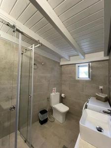 a bathroom with a shower and a toilet and a sink at Boboli Holiday House Acharavi Corfu in Acharavi