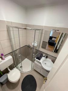 a bathroom with a shower and a toilet and a sink at Vadszőlő Apartman in Balatonmáriafürdő