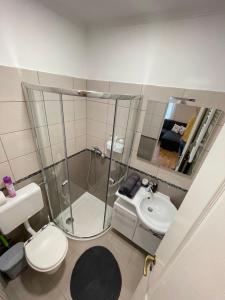 Kúpeľňa v ubytovaní Vadszőlő Apartman