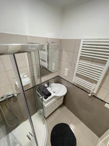 a white bathroom with a sink and a shower at Vadszőlő Apartman in Balatonmáriafürdő