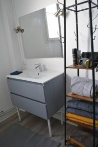 La salle de bains est pourvue d'un lavabo et d'un miroir. dans l'établissement CyclodeLoire vue splendide, à Saumur