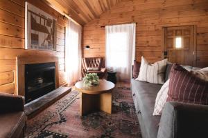 a living room with a couch and a fireplace at Lake View Cozy Cabin Hocking Hills with Pond and Hot Tub in Rockbridge