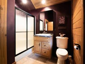 a bathroom with a toilet and a sink at Lake View Cozy Cabin Hocking Hills with Pond and Hot Tub in Rockbridge +35 photos
