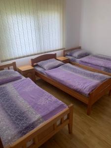 a group of four beds in a room with purple blankets at Guest House Šobić in Šipovo