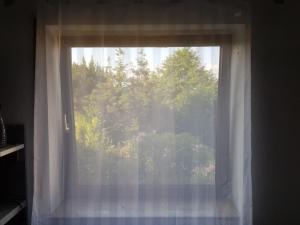 ein Fenster mit einem weißen Vorhang und Bäumen in der Unterkunft Eneya in Rotenburg an der Fulda