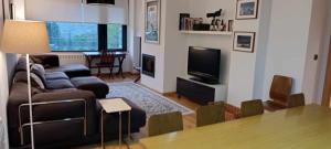 a living room with a couch and a television at Apartamento Argualas V - WOWRURAL in Panticosa