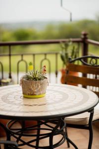 a potted plant sitting on a table on a patio at ZeusPlace Fenia’s Nest House in Litochoro