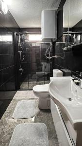 ein Bad mit einem Waschbecken, einem WC und einer Dusche in der Unterkunft Zigana* / Mountain Apartment at 2050 meters high in Torul