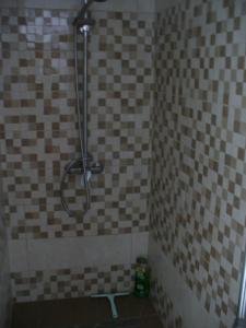 Kamar mandi di Berta Apartman
