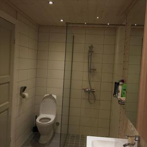 a bathroom with a shower and a toilet and a sink at Bordalen-Voss in Rjoo