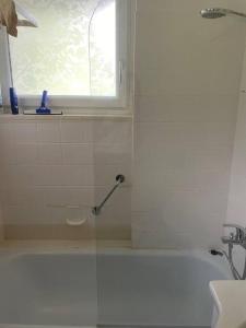 baño con ducha y bañera con ventana en Alpenurlaub II Wohnung mit Traumausblick, en Bad Mitterndorf