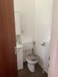 małą łazienkę z toaletą i umywalką w obiekcie Alpenurlaub II Wohnung mit Traumausblick w mieście Bad Mitterndorf