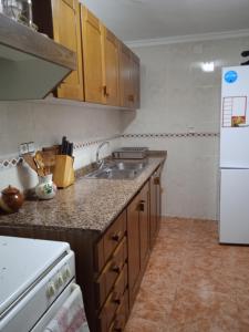 a kitchen with a sink and a white refrigerator at El patio de Marcos in La Recueja