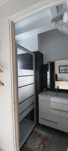 une salle de bains avec un lavabo et un miroir dans l'établissement 2 Pieces indépendant Peone-Valberg, à Péone 6 autres photos