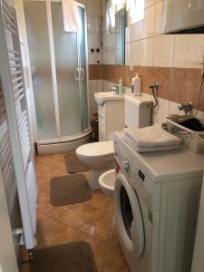 a bathroom with a toilet and a washing machine at Hedgehog's Home - Ježeva kućica Free Parking in Sarajevo