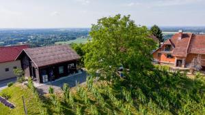an aerial view of a house with a tree at Apartma med vinogradi in Ljutomer