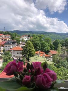 a vase of flowers sitting on a window with a city at Hedgehog's Home - Ježeva kućica Free Parking in Sarajevo