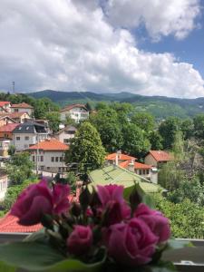 Táj az apartman közelében
