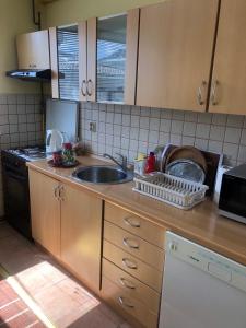 a kitchen counter with a sink and a dishwasher at Hedgehog's Home - Ježeva kućica Free Parking in Sarajevo