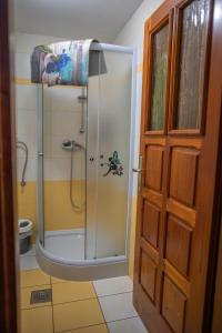 eine Dusche mit Glastür im Bad in der Unterkunft Apartma med vinogradi in Ljutomer