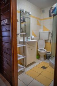 a bathroom with a toilet and a sink at Apartma med vinogradi in Ljutomer