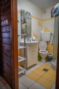 ein Bad mit einem WC und einem Waschbecken in der Unterkunft Apartma med vinogradi in Ljutomer
