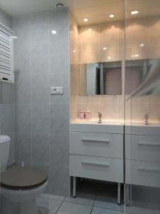 La salle de bains est pourvue de toilettes, d'un lavabo et d'une douche. dans l'établissement Appt bord de mer deux chambres et piscine, à Argelès-sur-Mer