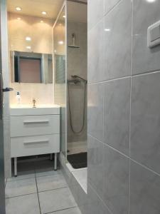 ein Bad mit einer Dusche und einem Waschbecken in der Unterkunft Appt bord de mer deux chambres et piscine in Argelès-sur-Mer