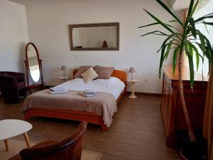 ein Schlafzimmer mit einem Bett mit einem Spiegel und einer Pflanze in der Unterkunft Beau logement proche plage et centre-ville in La Tranche-sur-Mer
