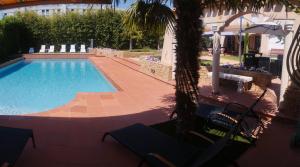 a swimming pool with chairs and a palm tree at Le Mas Champenois in Chalons en Champagne