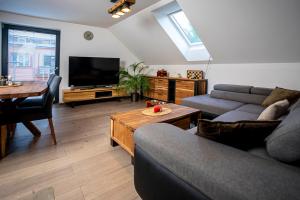 TV a/nebo společenská místnost v ubytování Apartmány v Podzámčí
