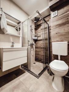 a bathroom with a shower and a toilet in it at Astoria Struga in Struga +25 photos