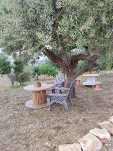 Vonkajšia záhrada v ubytovaní il borghetto in valle d'itria