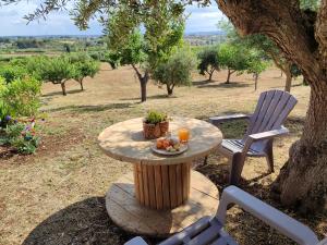 Vonkajšia záhrada v ubytovaní il borghetto in valle d'itria