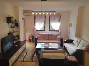 ein Wohnzimmer mit einem Sofa und einem TV in der Unterkunft Center flat in Skopje